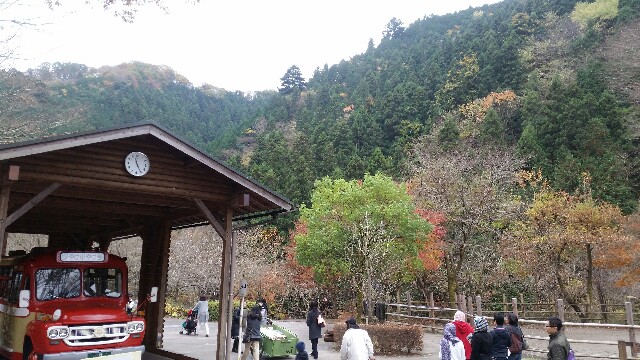 f:id:moruxu:20151207155554j:image f:id:moruxu:20151207155554j:image
