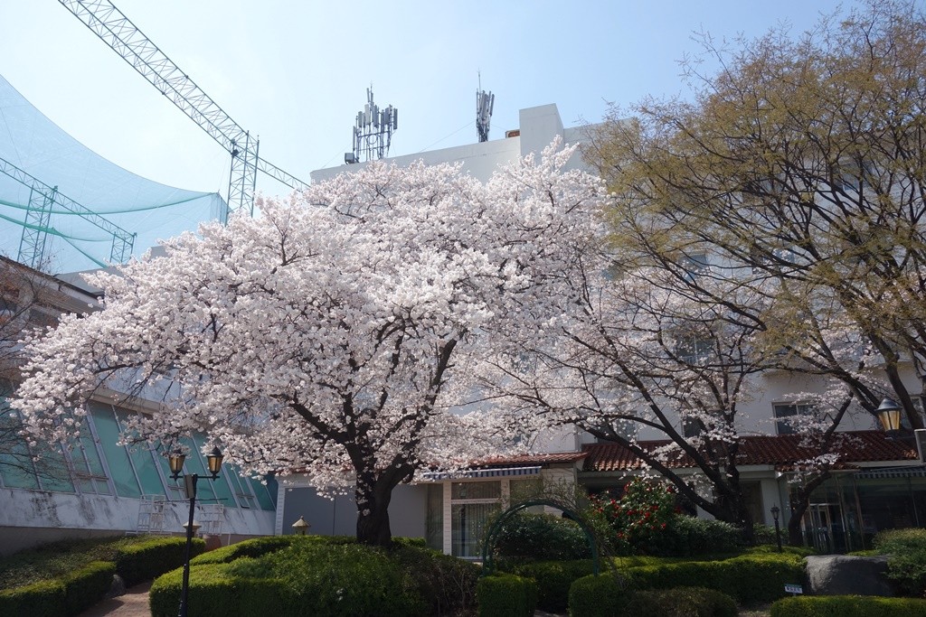 f:id:moryama:20160330132540j:plain f:id:moryama:20160330132540j:plain