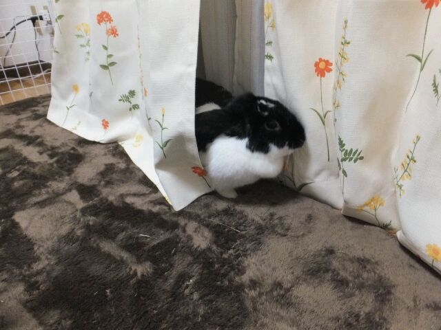 f:id:motaco1010:20130208000011j:image f:id:motaco1010:20130208000011j:image