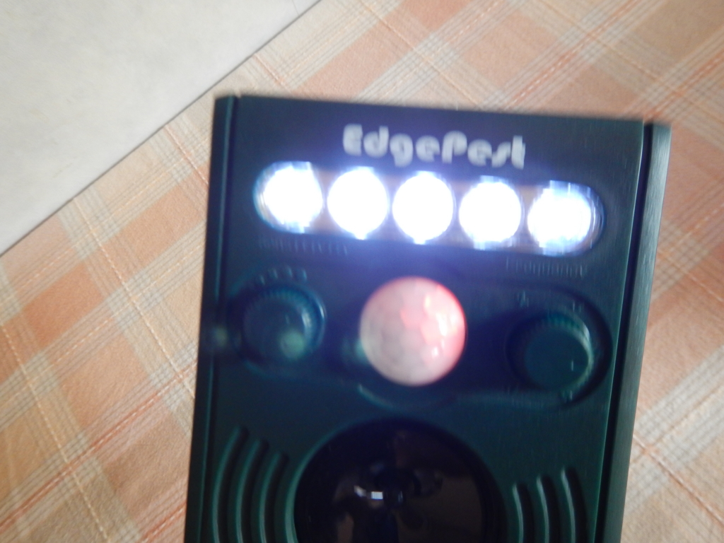 f:id:motagp:20151202091347j:plain f:id:motagp:20151202091347j:plain