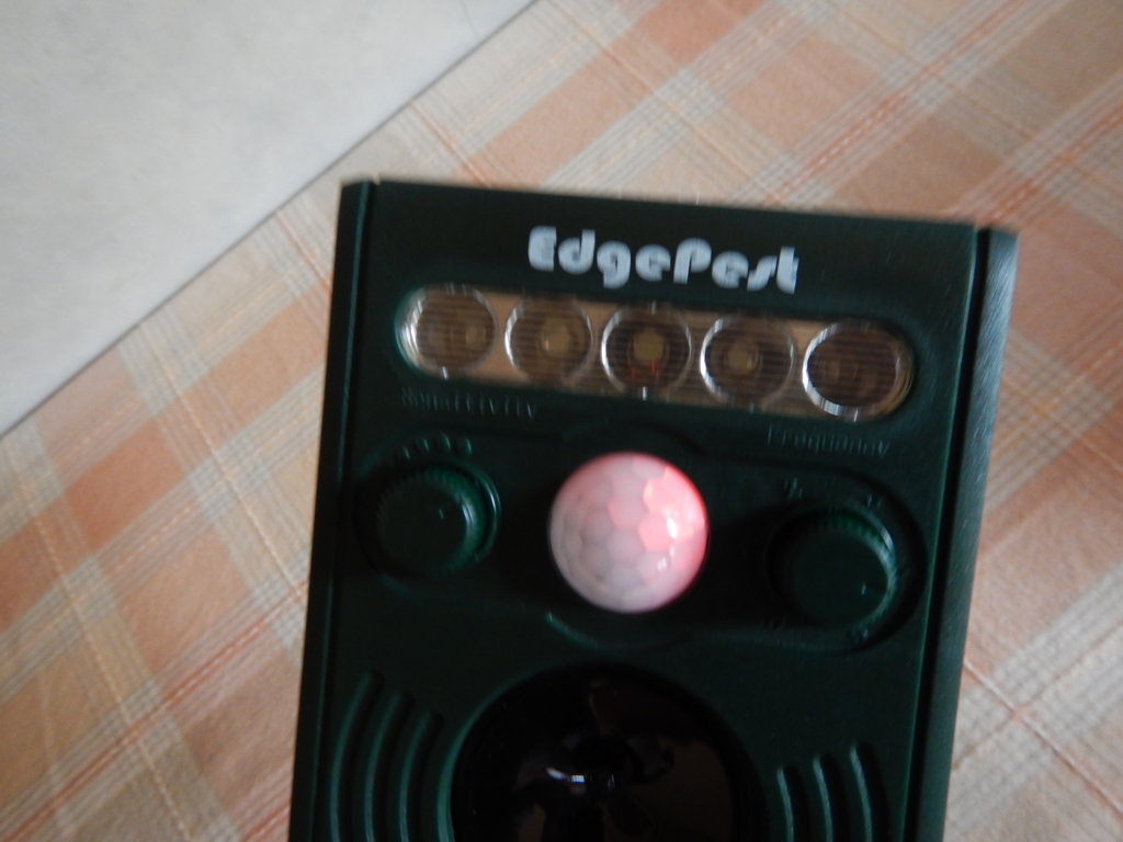 f:id:motagp:20151202091352j:plain f:id:motagp:20151202091352j:plain