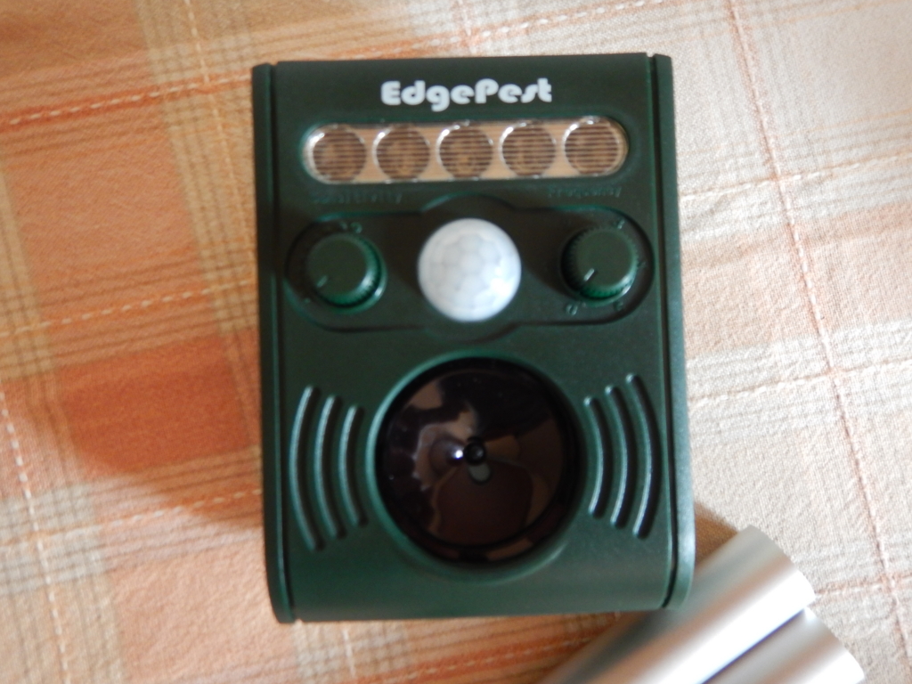 f:id:motagp:20151202091411j:plain f:id:motagp:20151202091411j:plain