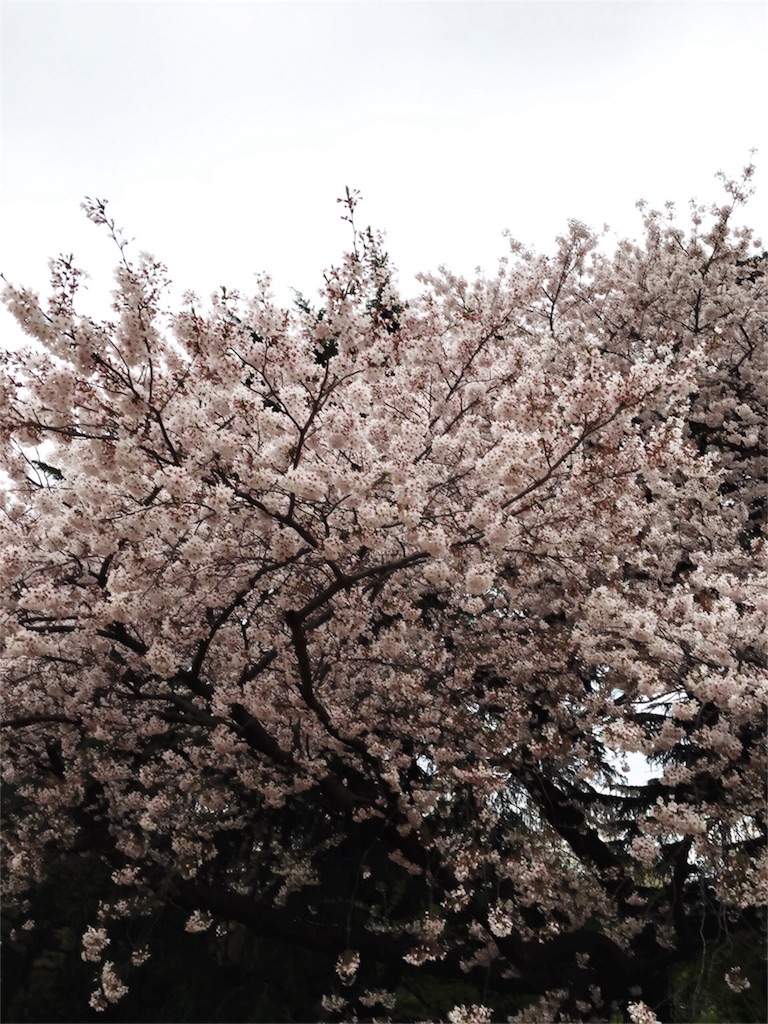 f:id:motoshidaa:20160409003528j:image f:id:motoshidaa:20160409003528j:image