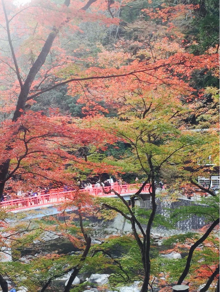 f:id:mousugu_40:20151128211302j:image f:id:mousugu_40:20151128211302j:image