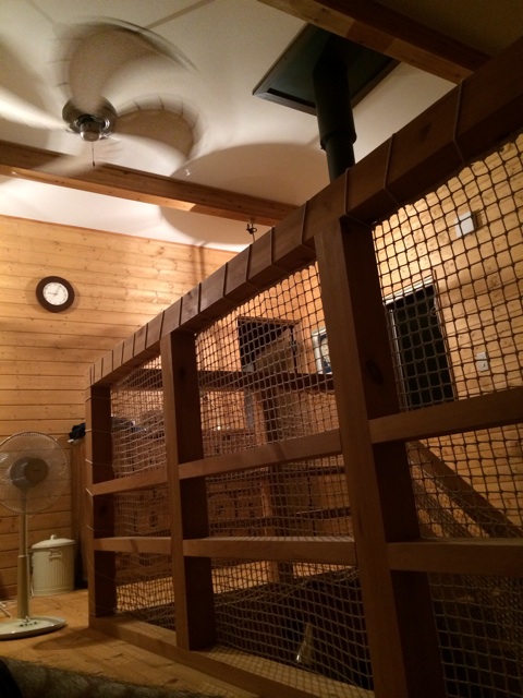 f:id:moyashi_takada:20140820190747j:plain f:id:moyashi_takada:20140820190747j:plain