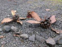 f:id:moyashinet:20150911235449j:plain