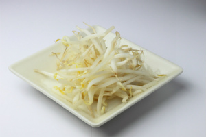 f:id:moyashinet:20151111221812j:plain