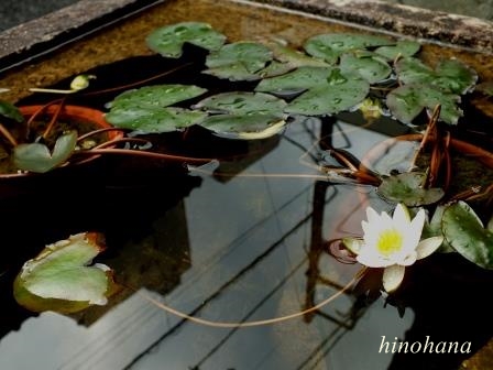 f:id:moztao:20151214191818j:plain f:id:moztao:20151214191818j:plain