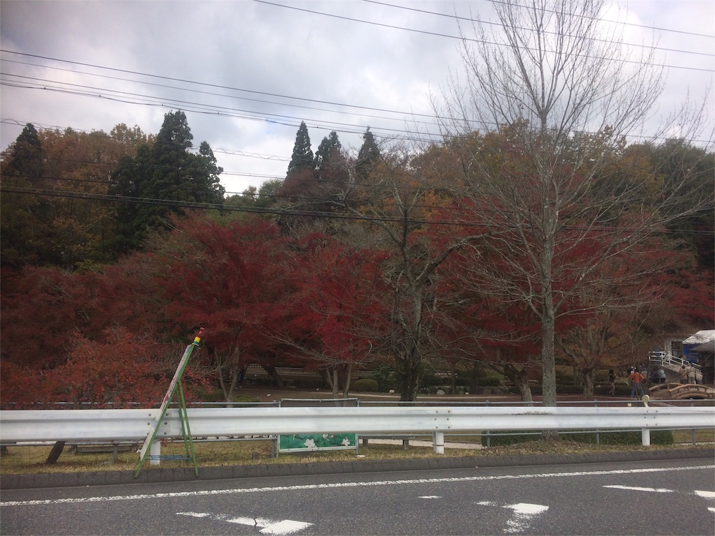f:id:mr-1989-01:20151117003323j:image f:id:mr-1989-01:20151117003323j:image