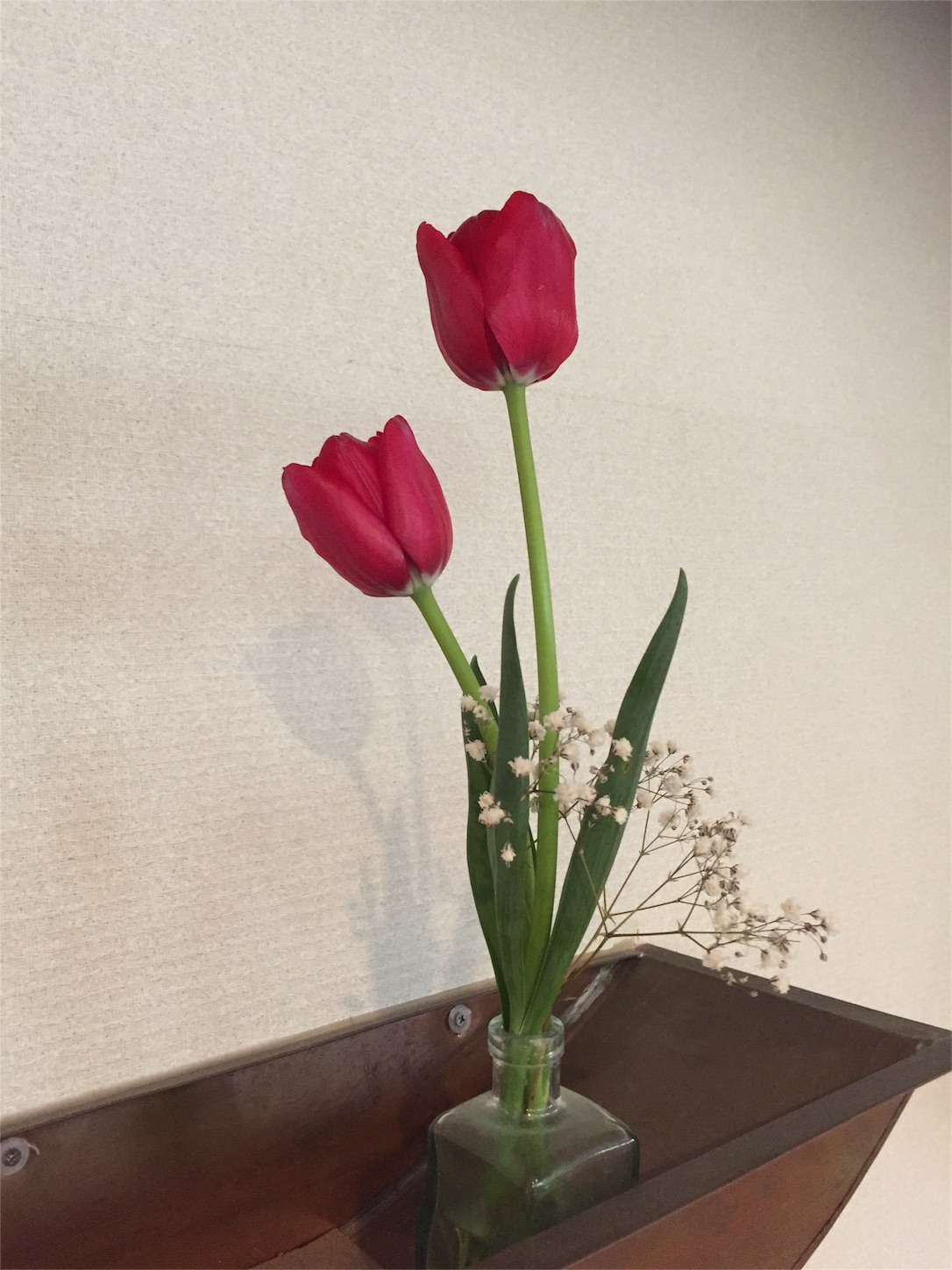 f:id:mrnegi:20160326201626j:image f:id:mrnegi:20160326201626j:image