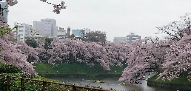 f:id:mruru:20160405114954j:image f:id:mruru:20160405114954j:image