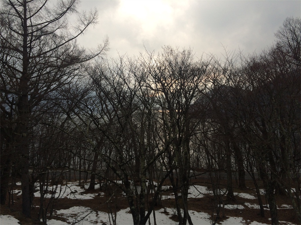 f:id:mry_62:20160312112004j:image f:id:mry_62:20160312112004j:image