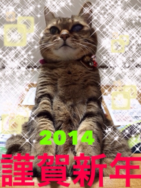 f:id:msk0nly1:20140103105557j:plain f:id:msk0nly1:20140103105557j:plain