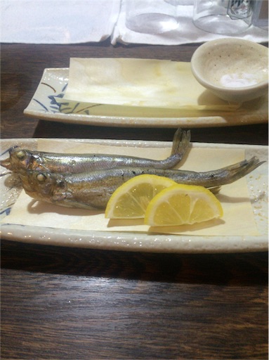 f:id:msoasis:20160507232922j:image f:id:msoasis:20160507232922j:image