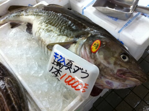 f:id:msz-x:20111224141347j:image:w360 f:id:msz-x:20111224141347j:image:w360