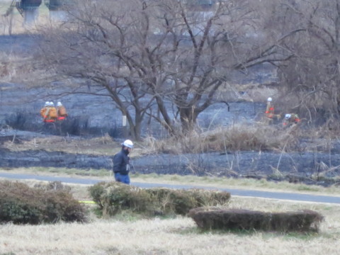 f:id:msz-x:20120211164308j:image