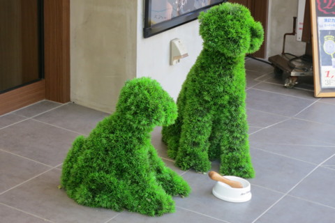 f:id:msz-x:20120506152951j:image