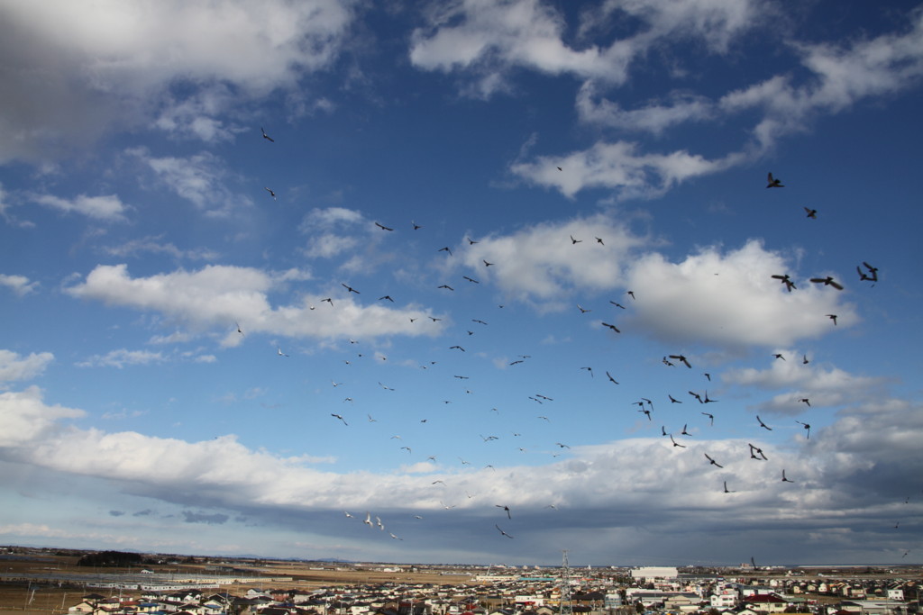 f:id:msz-x:20160110135617j:plain