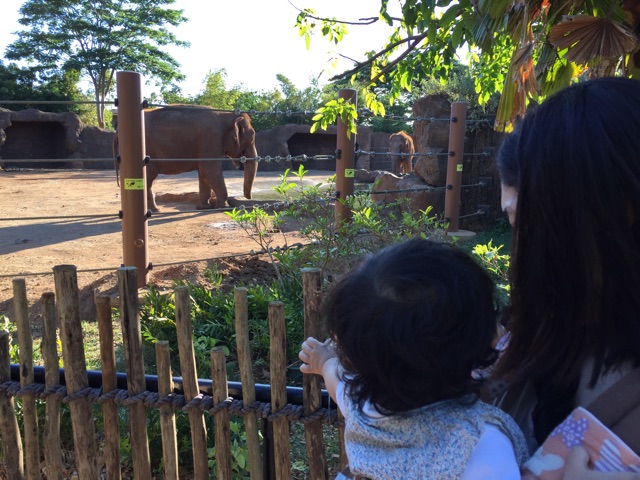 f:id:mtakano:20141215233243j:plain f:id:mtakano:20141215233243j:plain