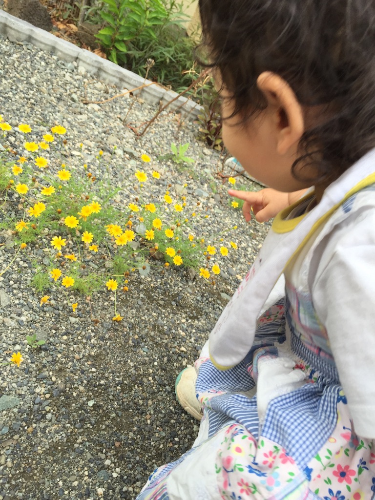 f:id:mtakano:20150721230346j:image f:id:mtakano:20150721230346j:image