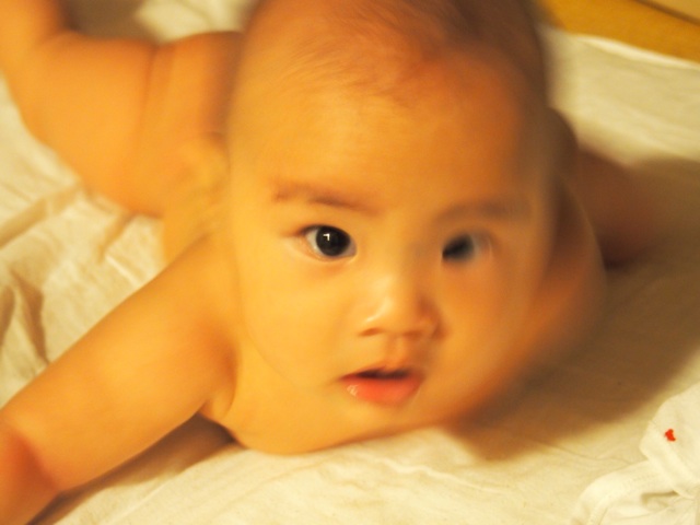 f:id:mtbr226:20140826211508j:plain f:id:mtbr226:20140826211508j:plain