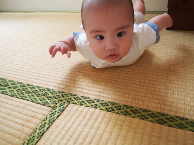 f:id:mtbr226:20141028203727j:plain f:id:mtbr226:20141028203727j:plain