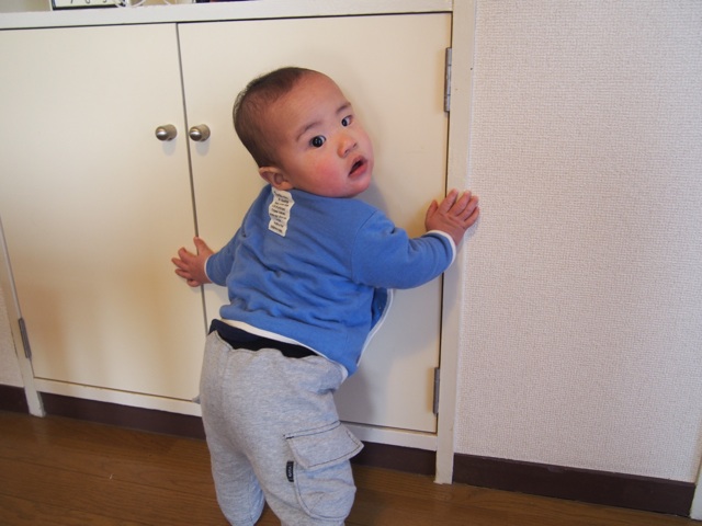 f:id:mtbr226:20150104153111j:plain f:id:mtbr226:20150104153111j:plain