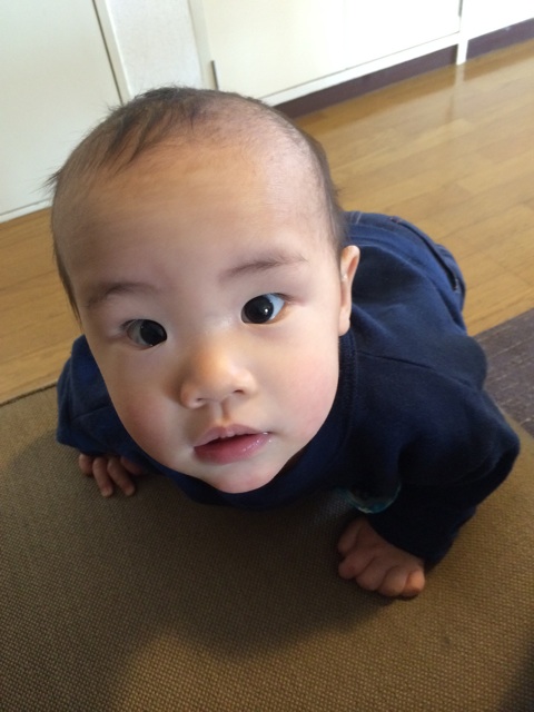 f:id:mtbr226:20150228151849j:plain f:id:mtbr226:20150228151849j:plain