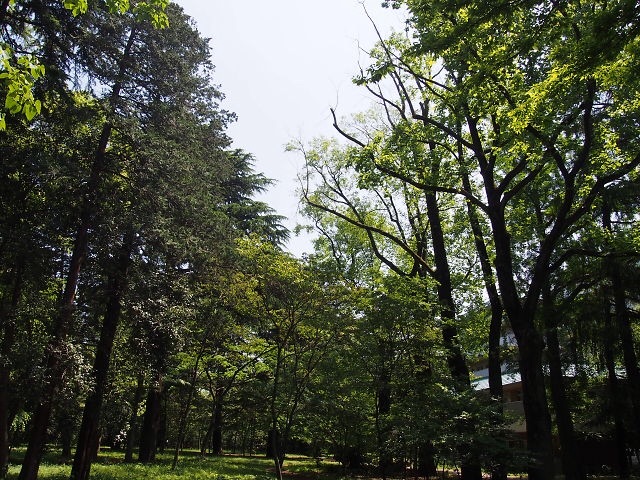 f:id:mtbr226:20150506200009j:image f:id:mtbr226:20150506200009j:image