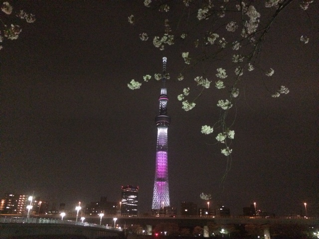 f:id:mtdrik:20150509015333j:plain f:id:mtdrik:20150509015333j:plain