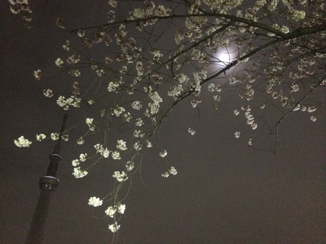 f:id:mtdrik:20150509021336j:plain f:id:mtdrik:20150509021336j:plain