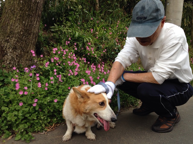 f:id:much-co:20140426101916j:plain f:id:much-co:20140426101916j:plain