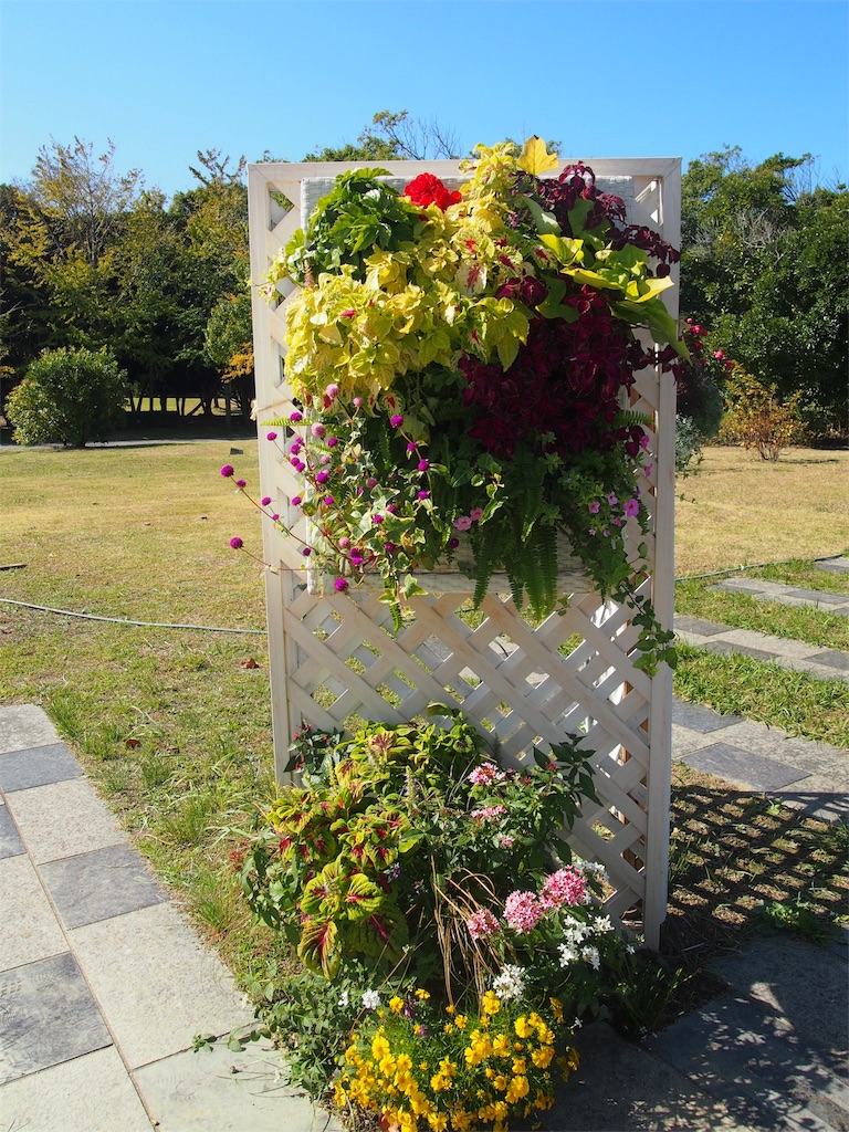 f:id:muchikin:20151027054841j:image f:id:muchikin:20151027054841j:image