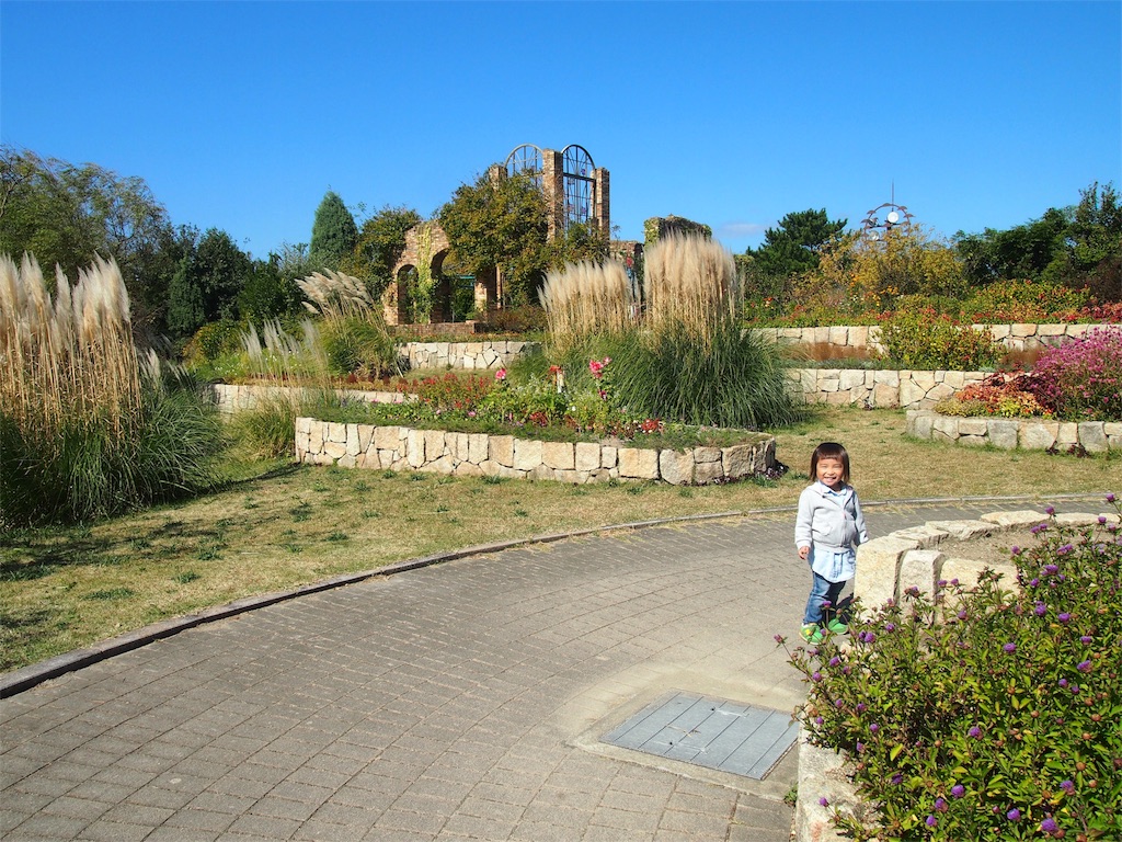 f:id:muchikin:20151027055200j:image f:id:muchikin:20151027055200j:image