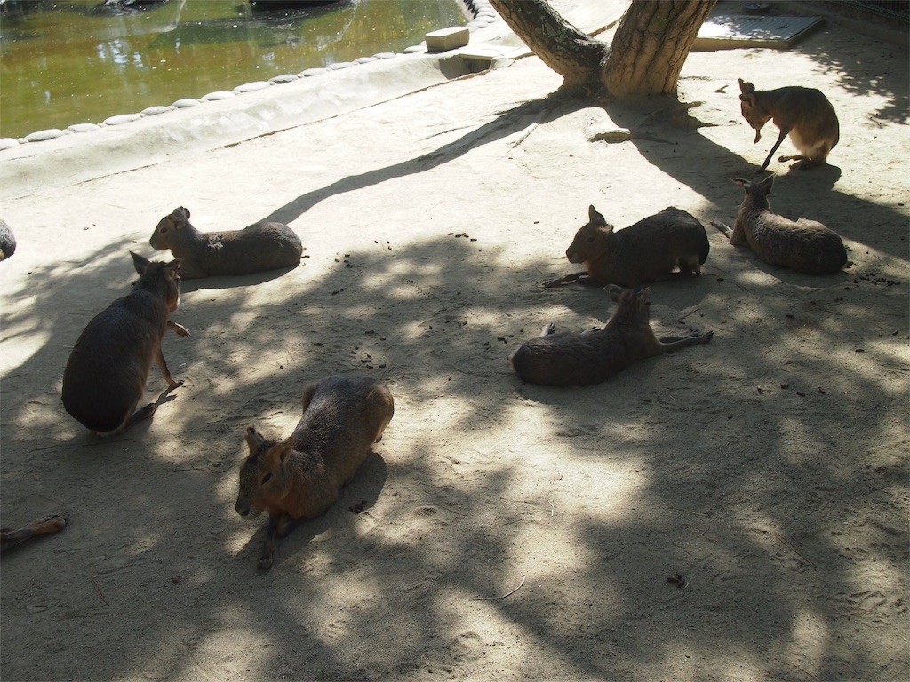 f:id:muchikin:20151027060411j:image f:id:muchikin:20151027060411j:image