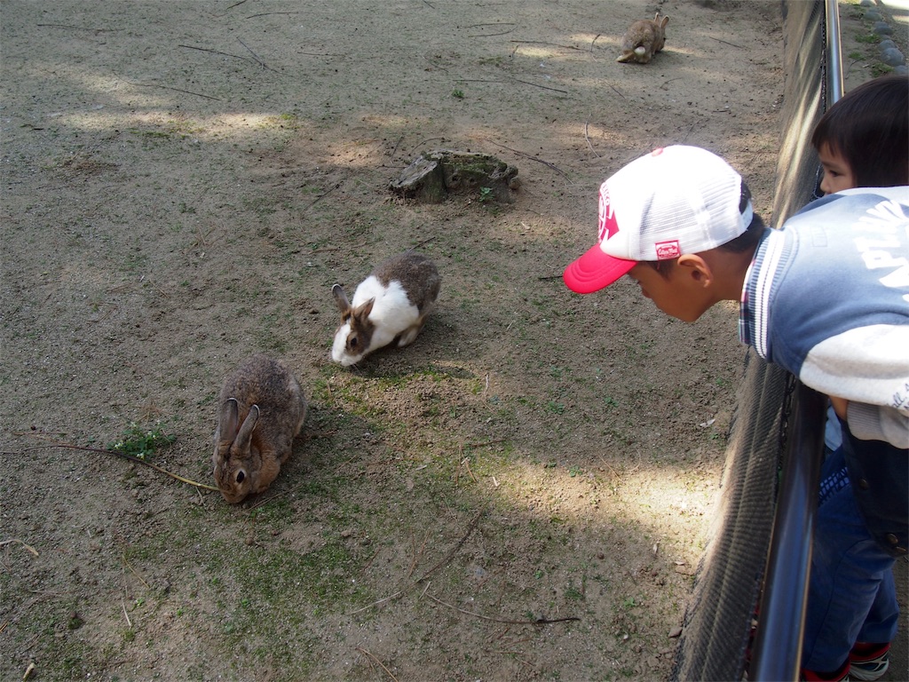 f:id:muchikin:20151027061915j:image f:id:muchikin:20151027061915j:image
