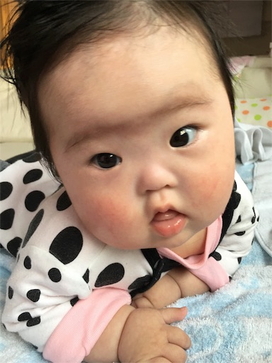 f:id:mugilove:20160321070942j:image f:id:mugilove:20160321070942j:image