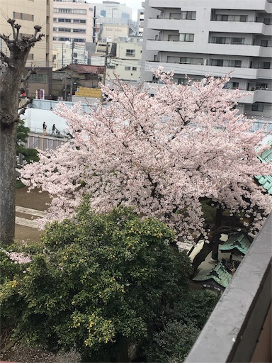 f:id:mugilove:20160403130741j:image f:id:mugilove:20160403130741j:image