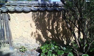 f:id:mukunokiy0725:20060823083656j:image f:id:mukunokiy0725:20060823083656j:image