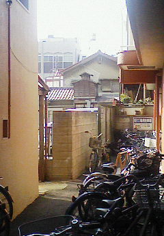 f:id:mukunokiy0725:20071023122900j:image