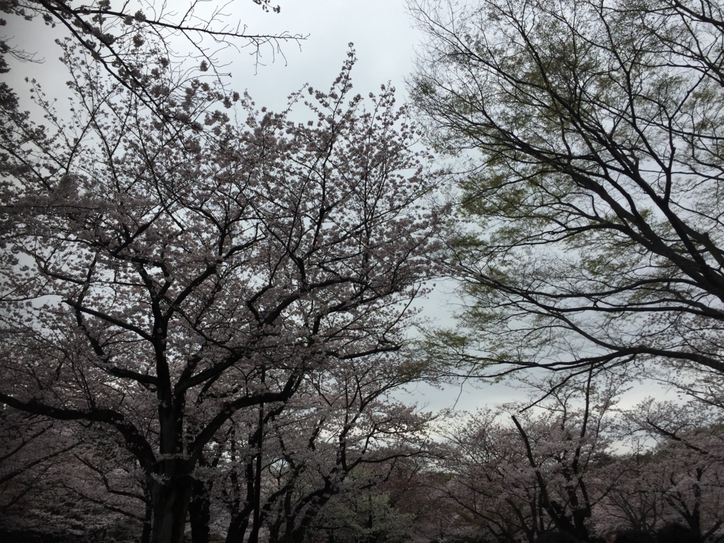 f:id:multiplechoice:20160402230230j:plain f:id:multiplechoice:20160402230230j:plain