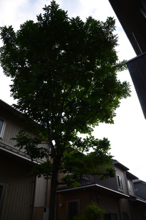 f:id:munetak:20120709160907j:image f:id:munetak:20120709160907j:image