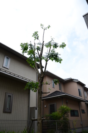 f:id:munetak:20120714113237j:image f:id:munetak:20120714113237j:image