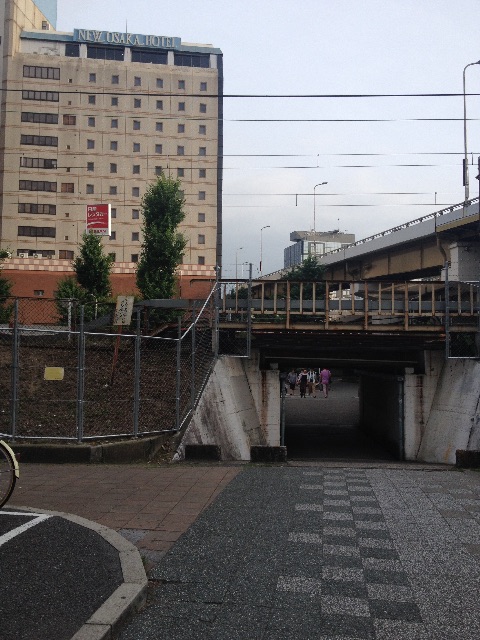 f:id:munimunihakase:20150618193007j:image f:id:munimunihakase:20150618193007j:image