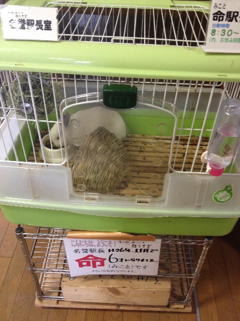 f:id:munimunihakase:20150619081926j:image f:id:munimunihakase:20150619081926j:image