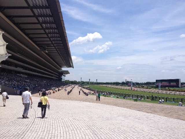 f:id:munimunihakase:20150629175503j:image f:id:munimunihakase:20150629175503j:image