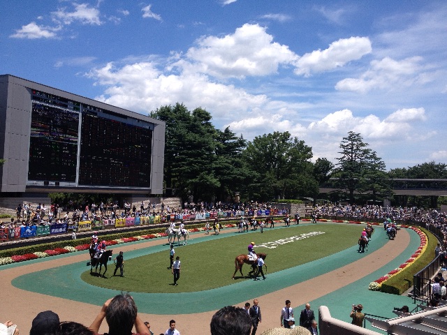 f:id:munimunihakase:20150629175756j:image f:id:munimunihakase:20150629175756j:image