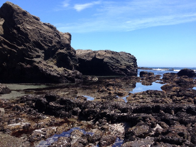 f:id:munimunihakase:20150720201906j:image f:id:munimunihakase:20150720201906j:image