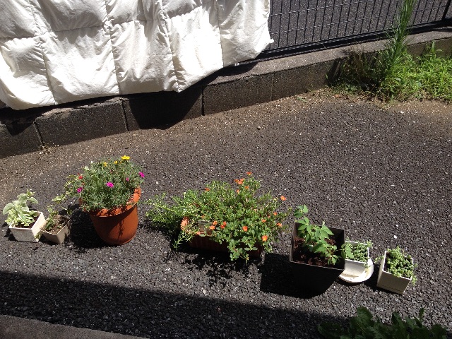f:id:munimunihakase:20150720203401j:image f:id:munimunihakase:20150720203401j:image