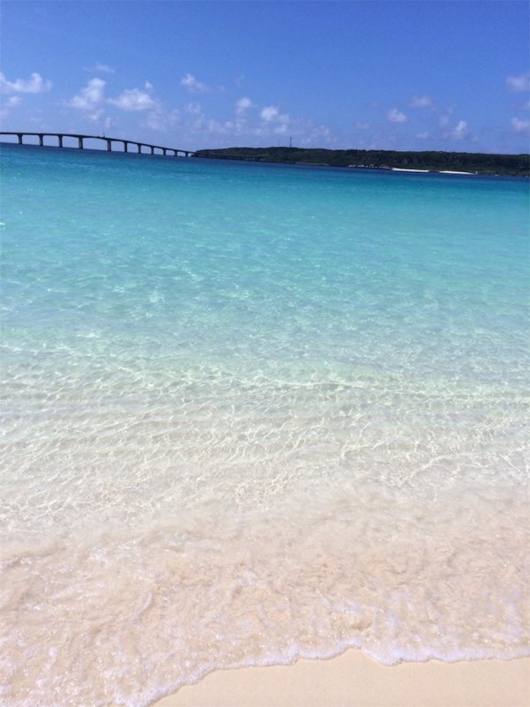 f:id:munimunihakase:20160602081830j:image f:id:munimunihakase:20160602081830j:image